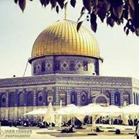 شيماء أم يوسف