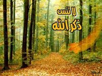 مستجير محمود