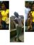Duyilem...