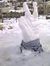 Heba F