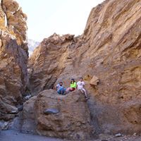 Lauraurasaurus Meeooww