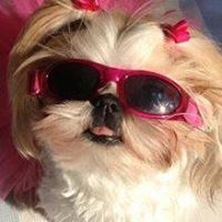 Stacey Ayers Ringler