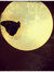 مائــــ...