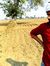 Anshuma...