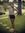 Lesly D...