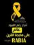 صلاح غندور
