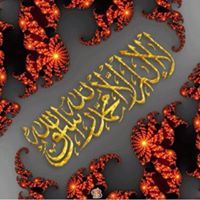 فرويدم المهري