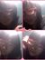 Anh Thư