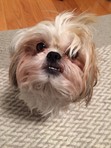 Katie