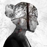 شموخ الربيعي