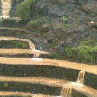 أبوفيصل المالكي