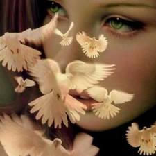 بيشو الكشري