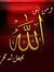 Sameh M...