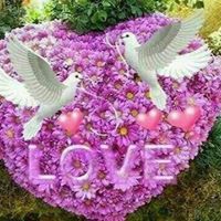 متاهات حائرة