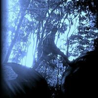 ಪುರುಷೋತ್ತಮ್ ಗೂಳಿ