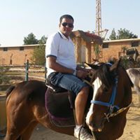 Alaa Anwer