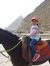 Ahmed S...