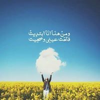Alaa Morad