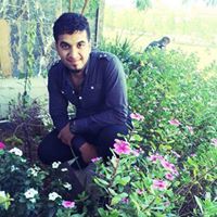 احمد نصرالله