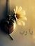 Bushra ...