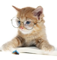 FeministBookNerd