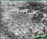 نعمان باعلي