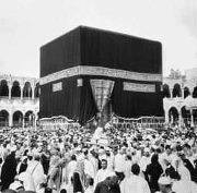 جلال يحيى