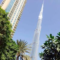 سالم النعماني