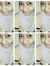 Alsya N...