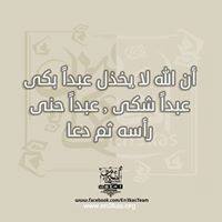 منة حسن