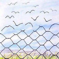 محمد المصري