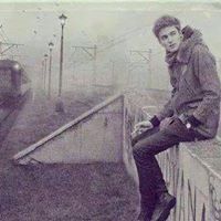 زرازير البيادر