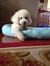 Annie