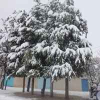 لا للاستعمار