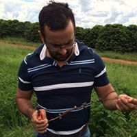 Alessandro Fortunato