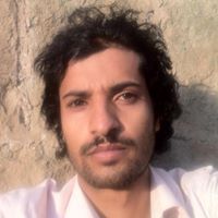 Tarik Hamid