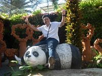 Quý Phan