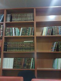 مصطفى خلفاوي