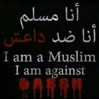 المحترف الطيب