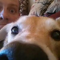 Maxwell Frankenstein