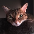 Una