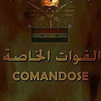 ذوالفقار علي