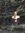 Leah Drayer | 4 comments