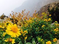 محسن أبوجرير