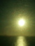 Charlett