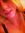 Staci