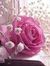 Sherin ...