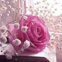 Sherin Mohamed