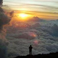 طائر الفينيق