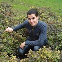 Mostafa El Ramady